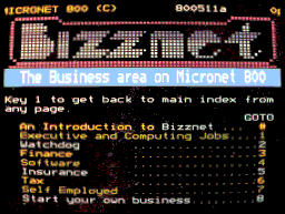 Bizznet screen